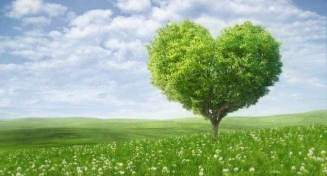 nature heart